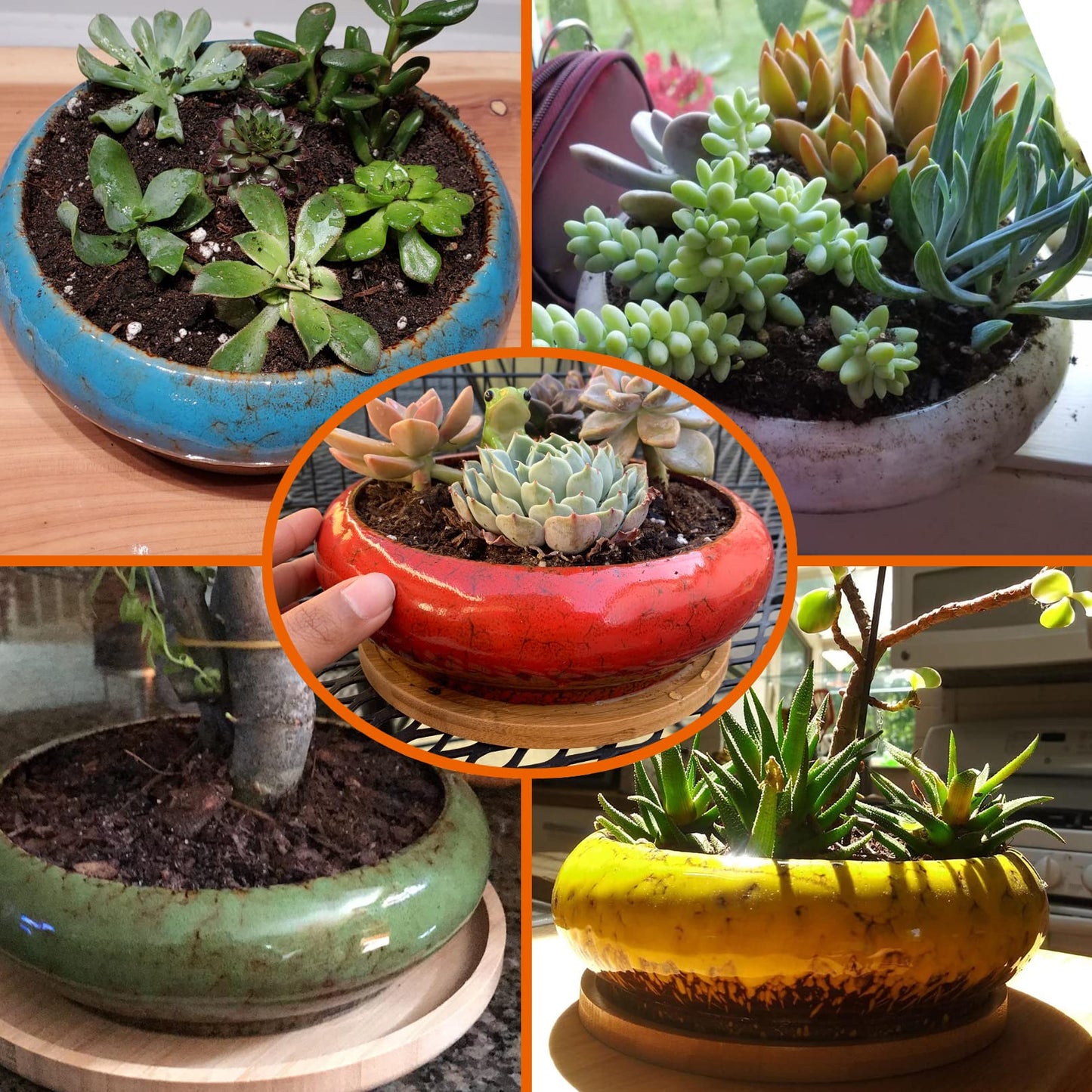 ARTKETTY Succulent Pots - 7.3 Inch Ceramic Bonsai Pots with Drainage Tray, Large Shallow Succulent Planters for Indoor Cactus Plants Decorative Flower Plant Container Bowl