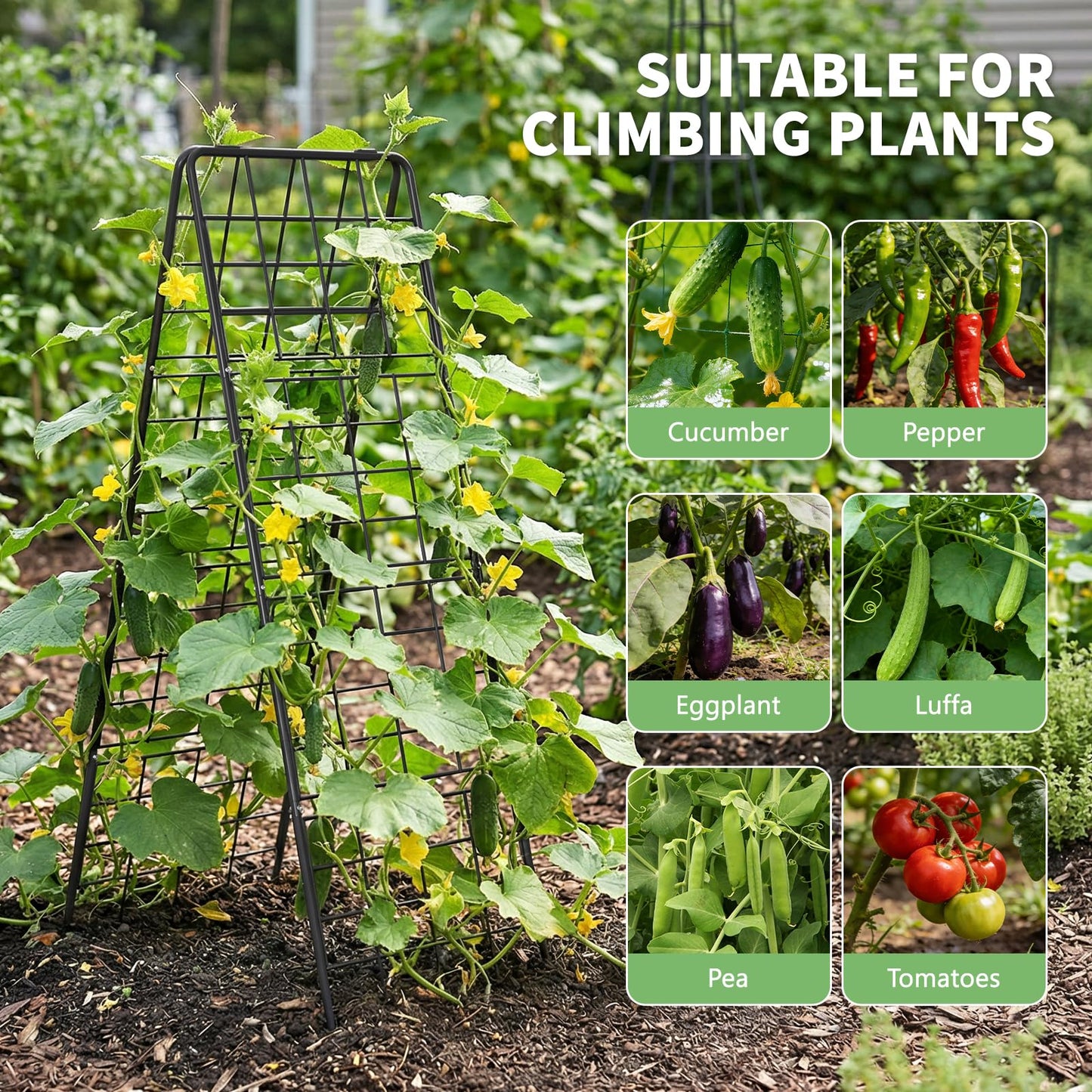DoCred Cucumber Trellis, 59" H 2 Pack Metal Foldable Thickened A Frame Garden Trellis for Raised Bed Climbing Plants, Vegetables, Including Plant Support Clips, Twist Ties, Plastic Ties, Black