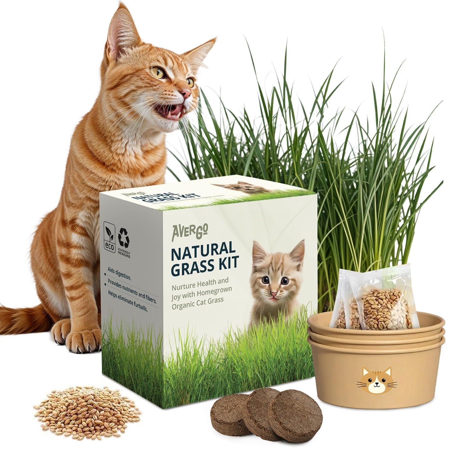 Cat Grass Kit for Indoor Cats – x3 Seed Packets | Cat Grass Seeds with Recyclable Planter & Coconut Coir Expanding Soil Discs – Wheatgrass Grass