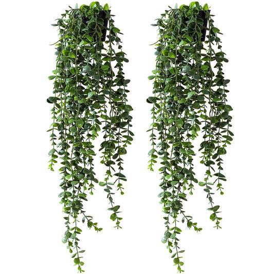 Yarmare Artificial Hanging Plant 2 Pcs Faux Plant Ivy Vine Faux Eucalyptus Vines Fake Potted Greenery for Wall Living Room Home Shelf Office Bathroom Outdoor Indoor Decor (Type 7)