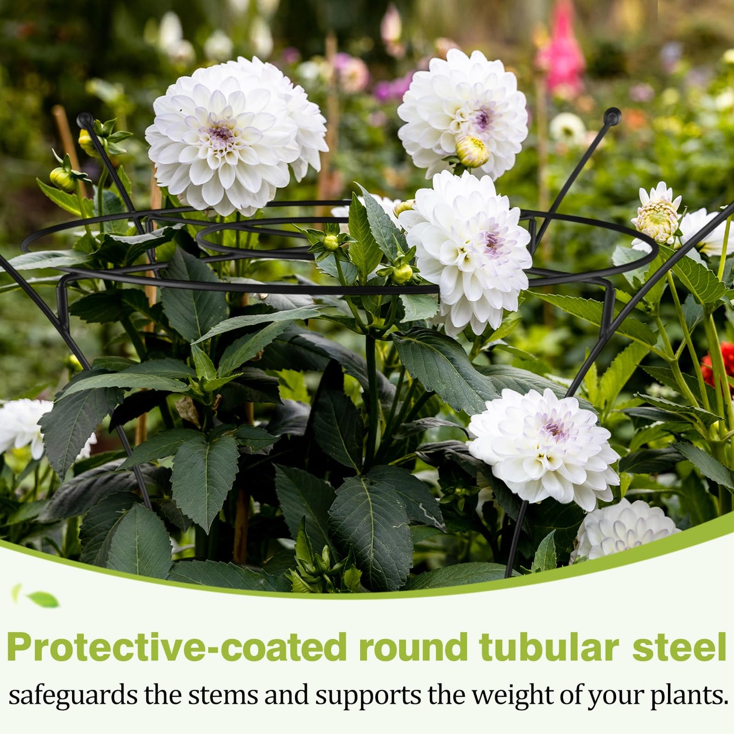 HEYTIMI 1 Pack Large Peony Cages and Supports, 38" H x 19" D Tall Heavy Duty 5mm Black Metal Garden Stakes for Outdoor & Indoor Plants, Sturdy Rust-Resistant Frame for Peonies Roses Flowers