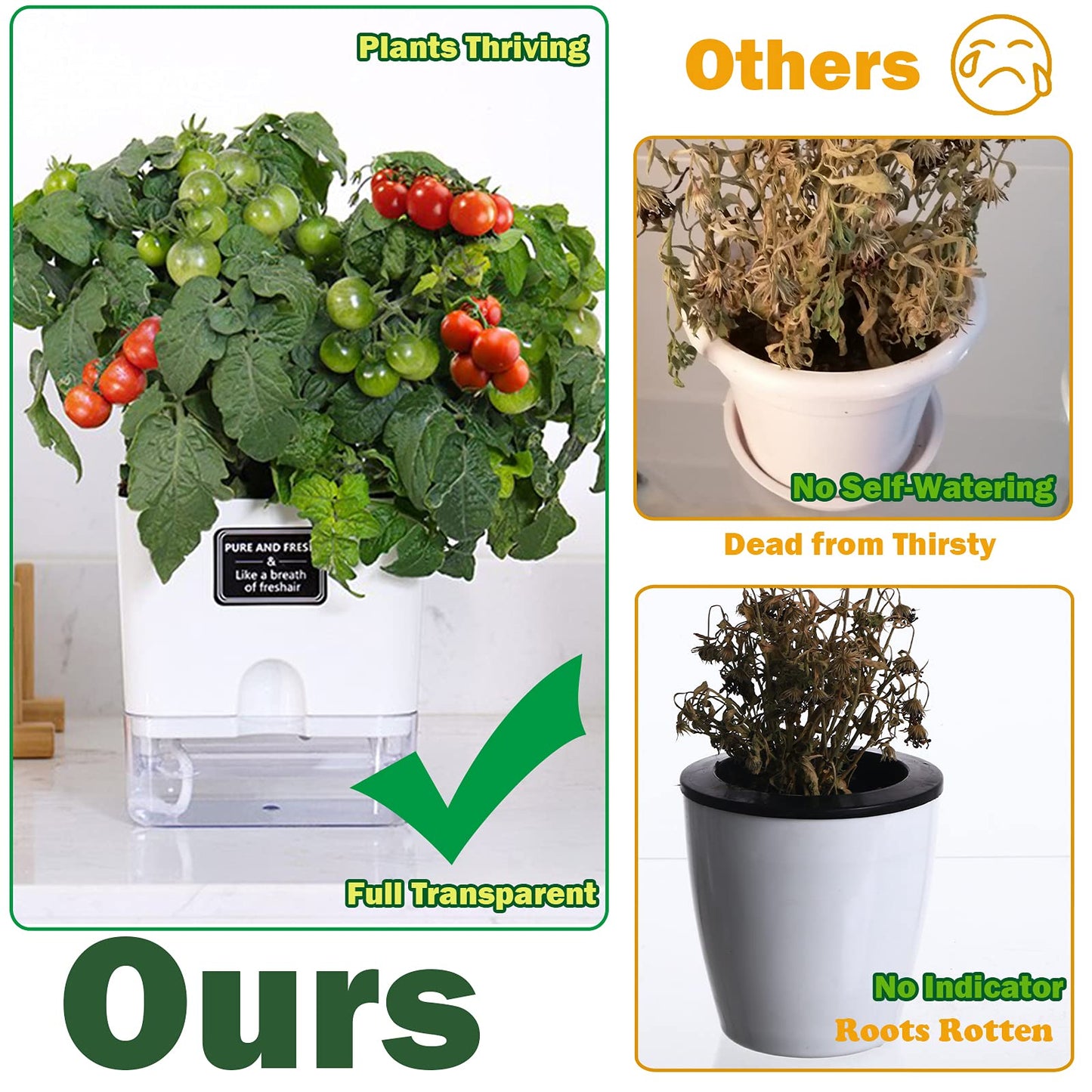 Planterhoma Self Watering Plant Pots for Indoor Plants 5.5 inch, 3 Packs Square Self-Watering Planters with Drainage Hole, White African Violet Pots for Devil's Ivy, Spider Plant, Orchid, Herb