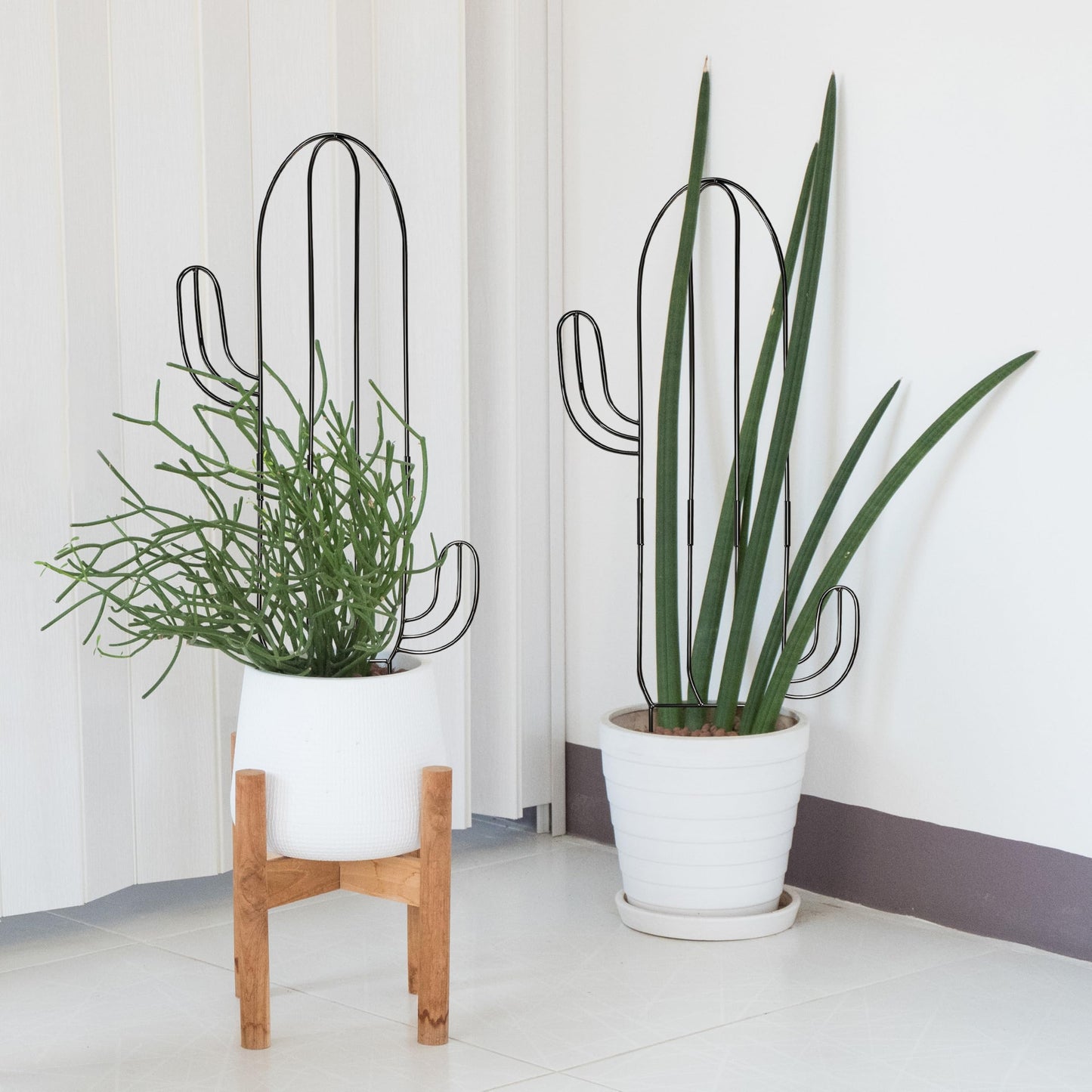 4(Four) Indoor Plant Trellis for Climbing Plants, 2(Two) 32.6in Plant Trellis for Climbing Plants Indoor Outdoor, 2(Two) 31.8in Heay Duty Cactus Trellis for Potted Plants