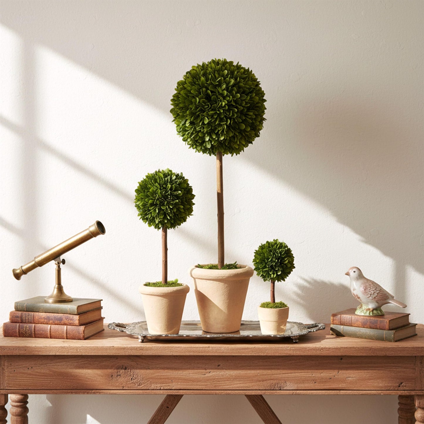 Shine Company Real Preserved Single-Ball Boxwood Topiary with Cream Grey Terracotta Pot (16"/12"/6" Tall, Set of 3)