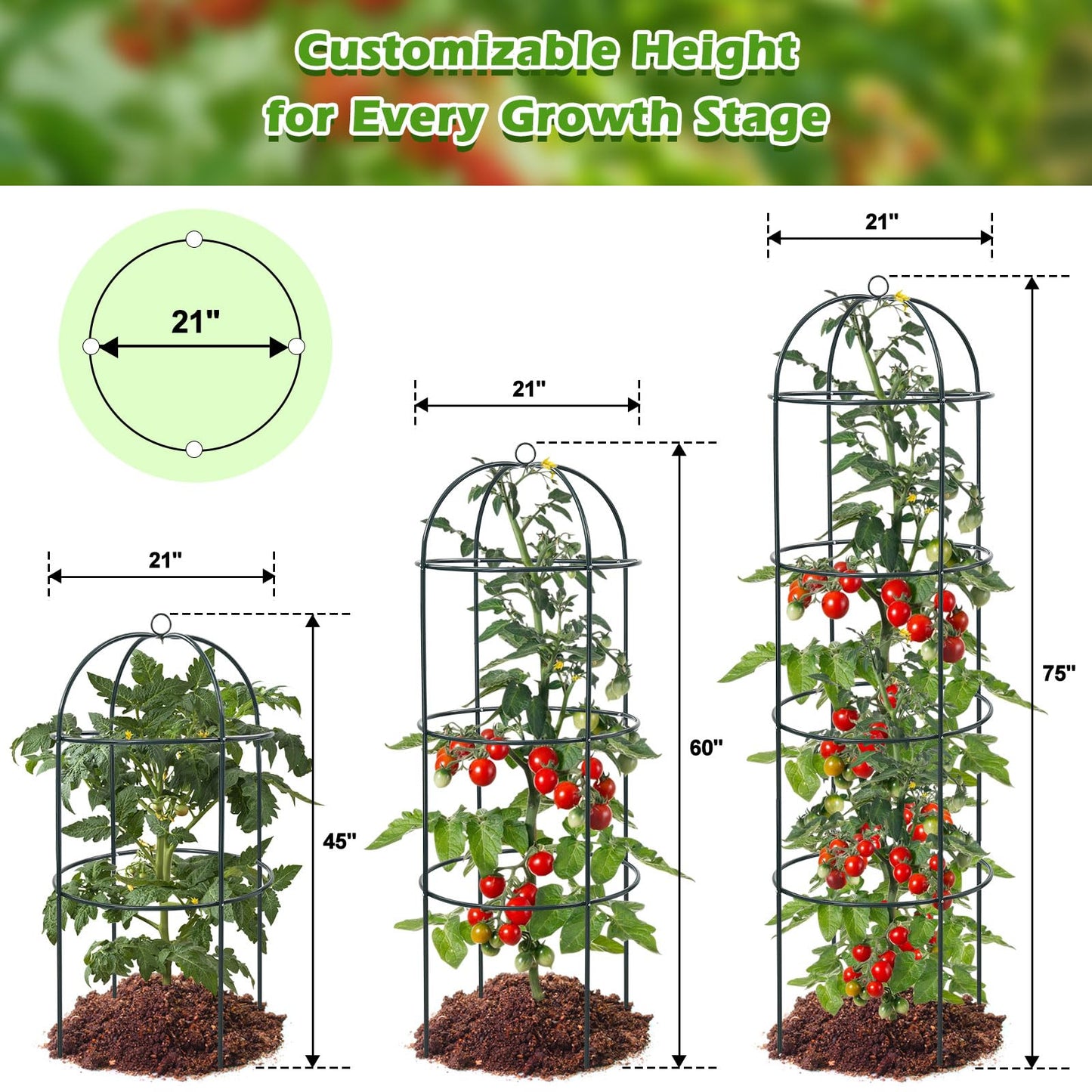2Pcs Trellis for Climbing Plants Outdoor, 75" Tall Heavy Duty Metal Obelisk Garden Trellis Climbing Plant Support for Tomatos Cucumber Potted Vine Flower Rose Clematis Vegetable Pea Bean Trellises