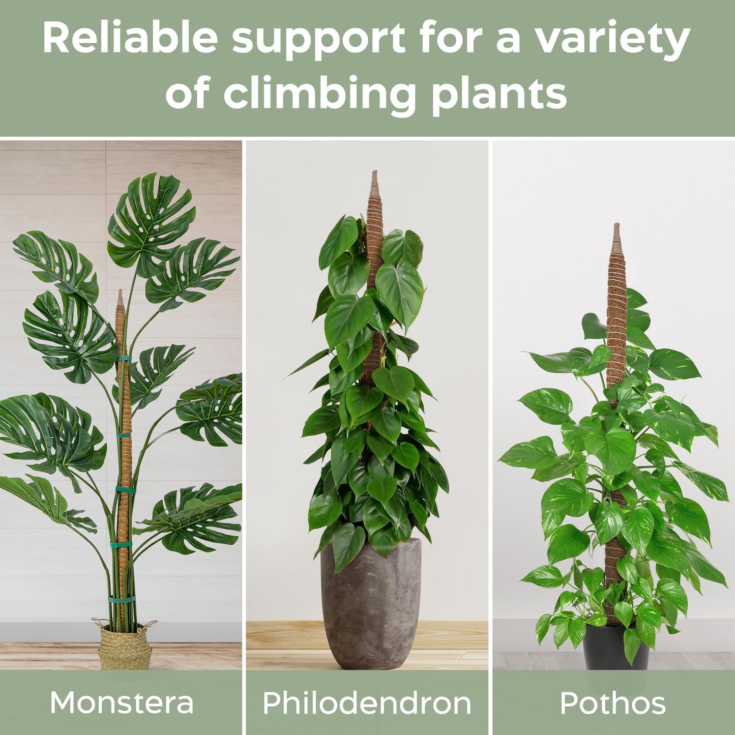 K-Brands 4 Pack Forest Moss Coco Coir Bundle - 2 x 42'' + 2 x 63'' Monstera Plant Support - Moss Poles for Climbing Plants Monstera - Plant Pole Plant Sticks Support