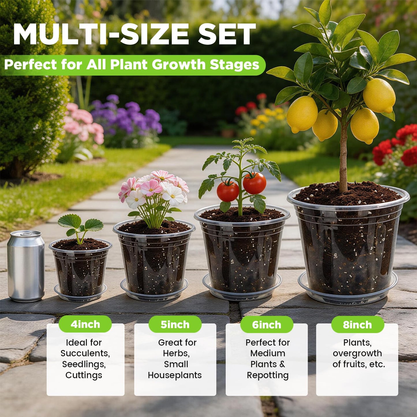 Clear Nursery Pots with Saucers 24 Pack, 4/5/6/7 Inch Plastic Plant Pots, for Indoor Outdoor Succulents Orchids Seedlings, Flower Containers with Drainage Holes and Tray, Small Garden Planters