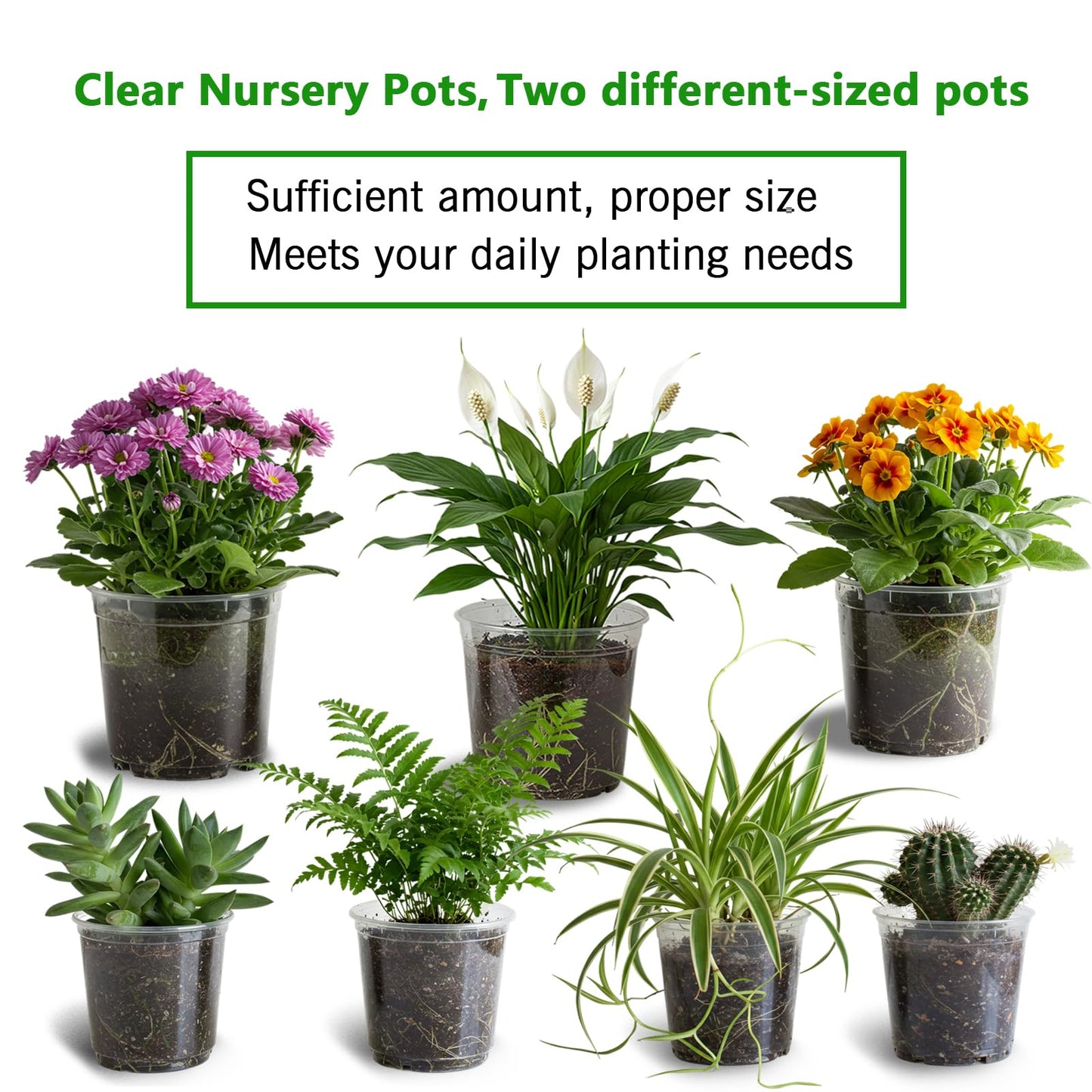 Clear Nursery Pots for Plants, 3.7/5 Inch Plastic Seedling Pots with Drainage Holes – Flexible Transparent Planters for Indoor & Outdoor Gardening, Includes 40 Plant Labels & 2 Transplant Tools