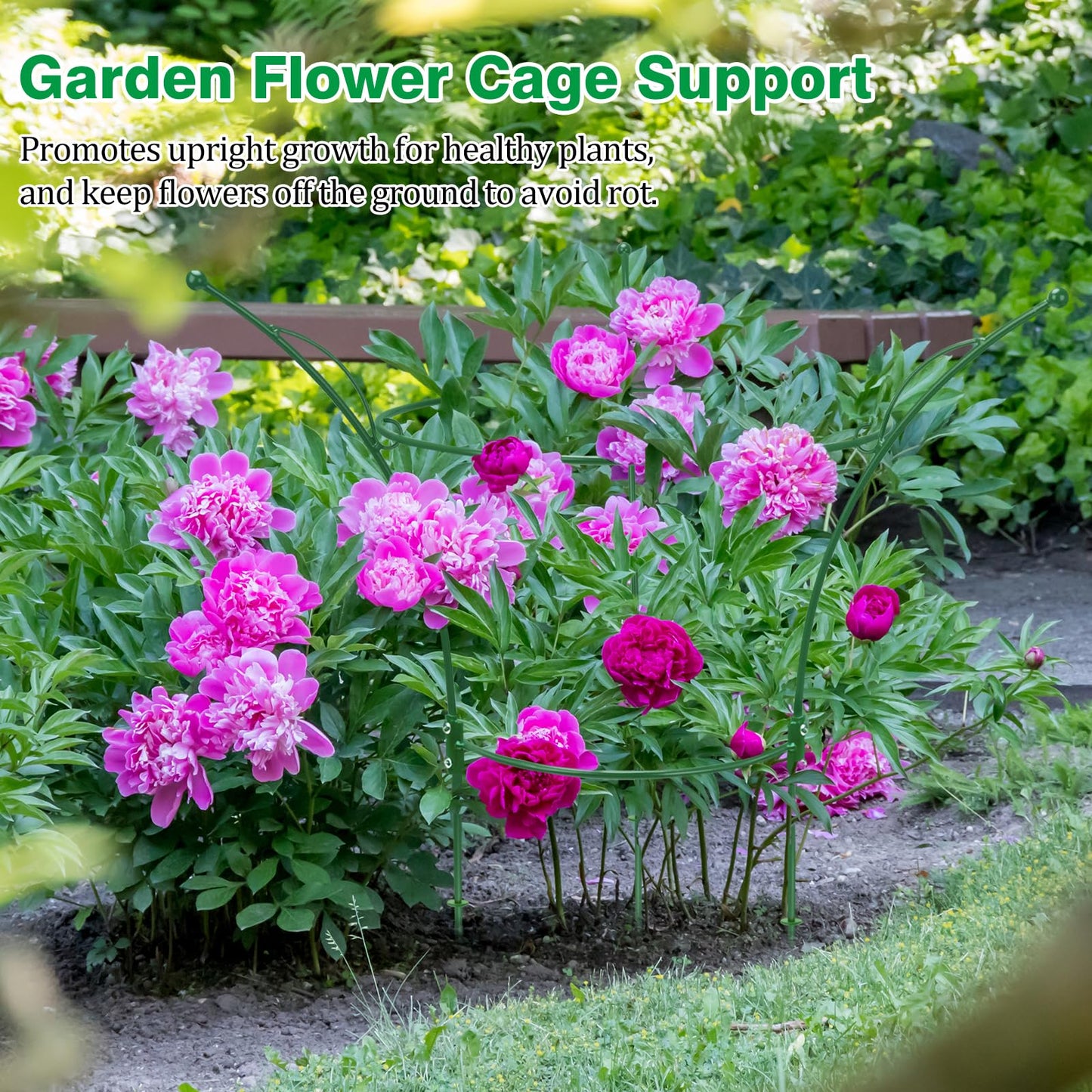 HEYTIMI 4 Pack Peony Cages and Supports Cages 13" D x 22.8" H Sturdy Metal Support Frame for Peonies & Roses Natural Bouquet Shape Garden Stakes for Outdoor Plants Flowers Ornamental (Green)