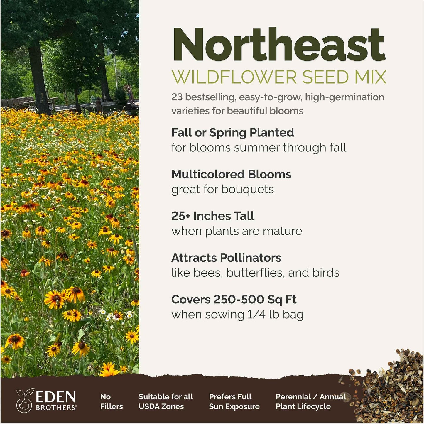 Eden Brothers Northeast Wildflower Mixed Seeds for Planting, 1/4 lb, 120,000+ Seeds with Cosmos, Candytuft, Shasta Daisy | Attracts Pollinators, Plant in Spring or Fall, Zones 3, 4, 5, 6, 7, 8, 9, 10