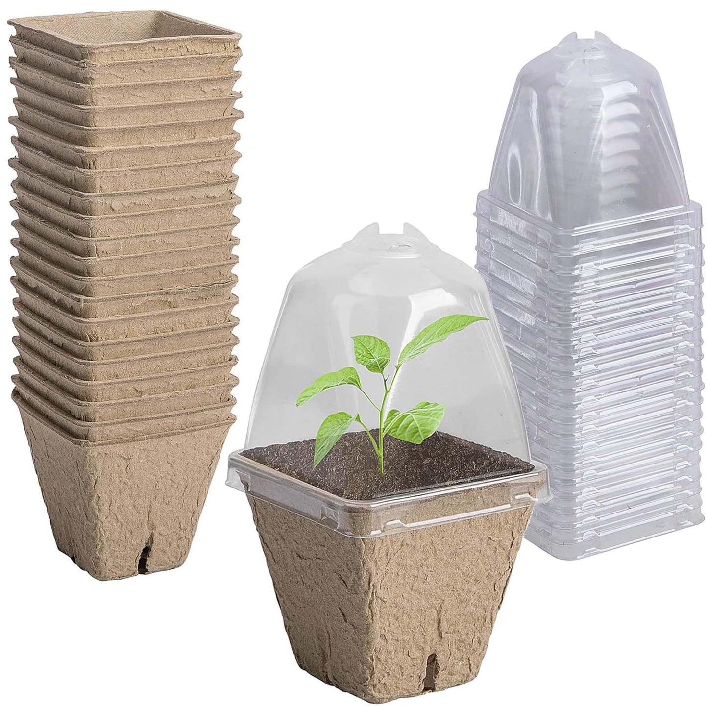 PURPLE STAR 1N 20 Pcs Biodegradable Nursery Pots with Humidity Dome- 2.3 Inch Square Seeding Starter Pot for Planting- Peat Pots for Seedlings Garden Vegetable Flower Germination
