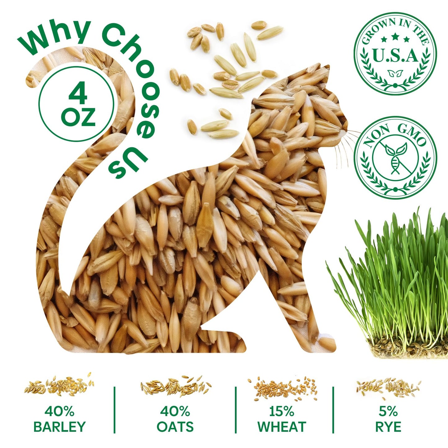 Groundio Cat Grass Seeds, Barley, Oats, Wheat, Rye 4 Varieties, Non-GMO Fast Germinate in 4-7 Days, Sourced from USA for Indoor Cats, 4 Ounce