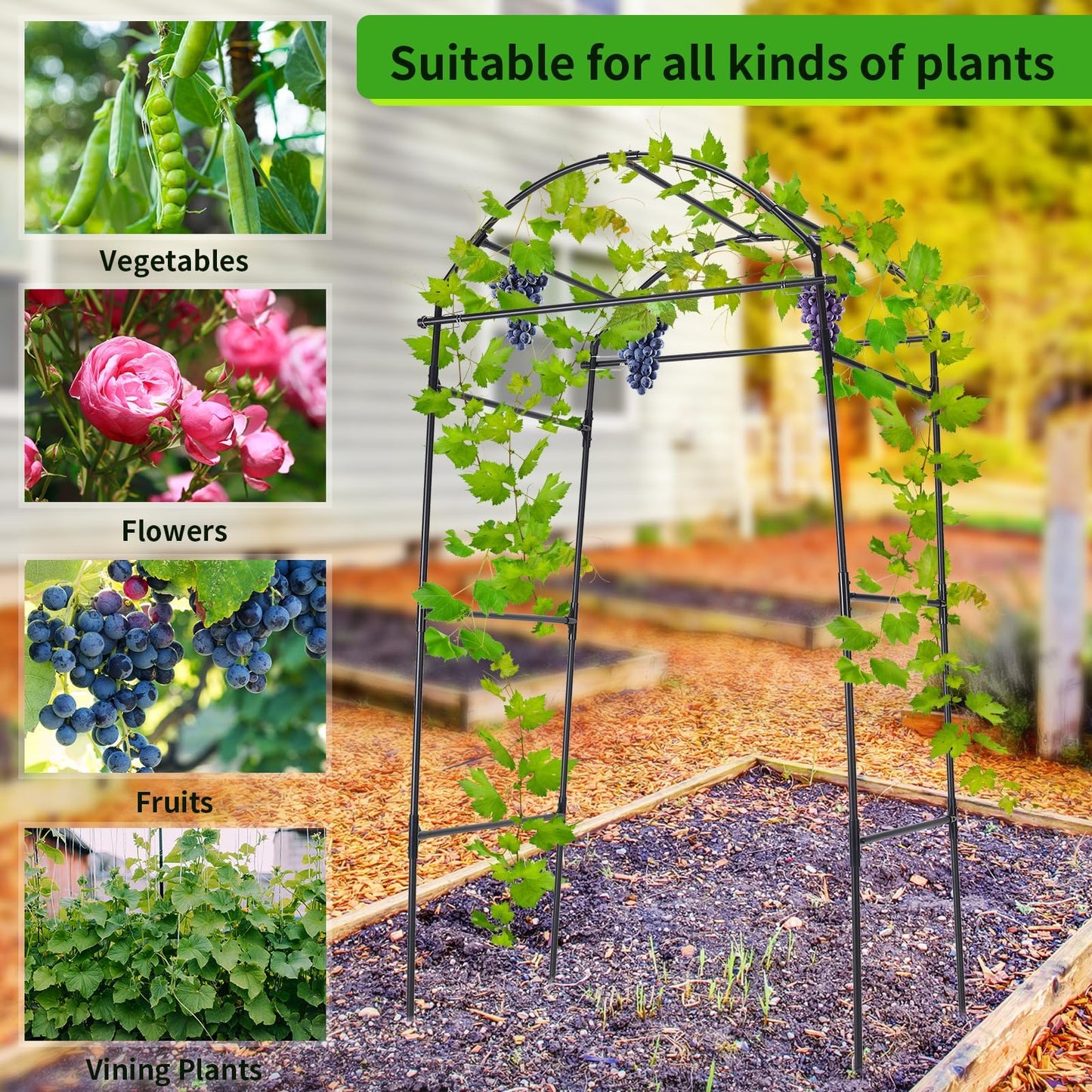 FOLLOOK Cucumber Trellis, 6.7ft Tall Garden Arch Trellis for Climbing Plants Outdoor Arbor Support Vine Vegetable Tomato Bean Pea Grape Squash Pumpkin Cucumber Raised Bed, Lightweight, Black