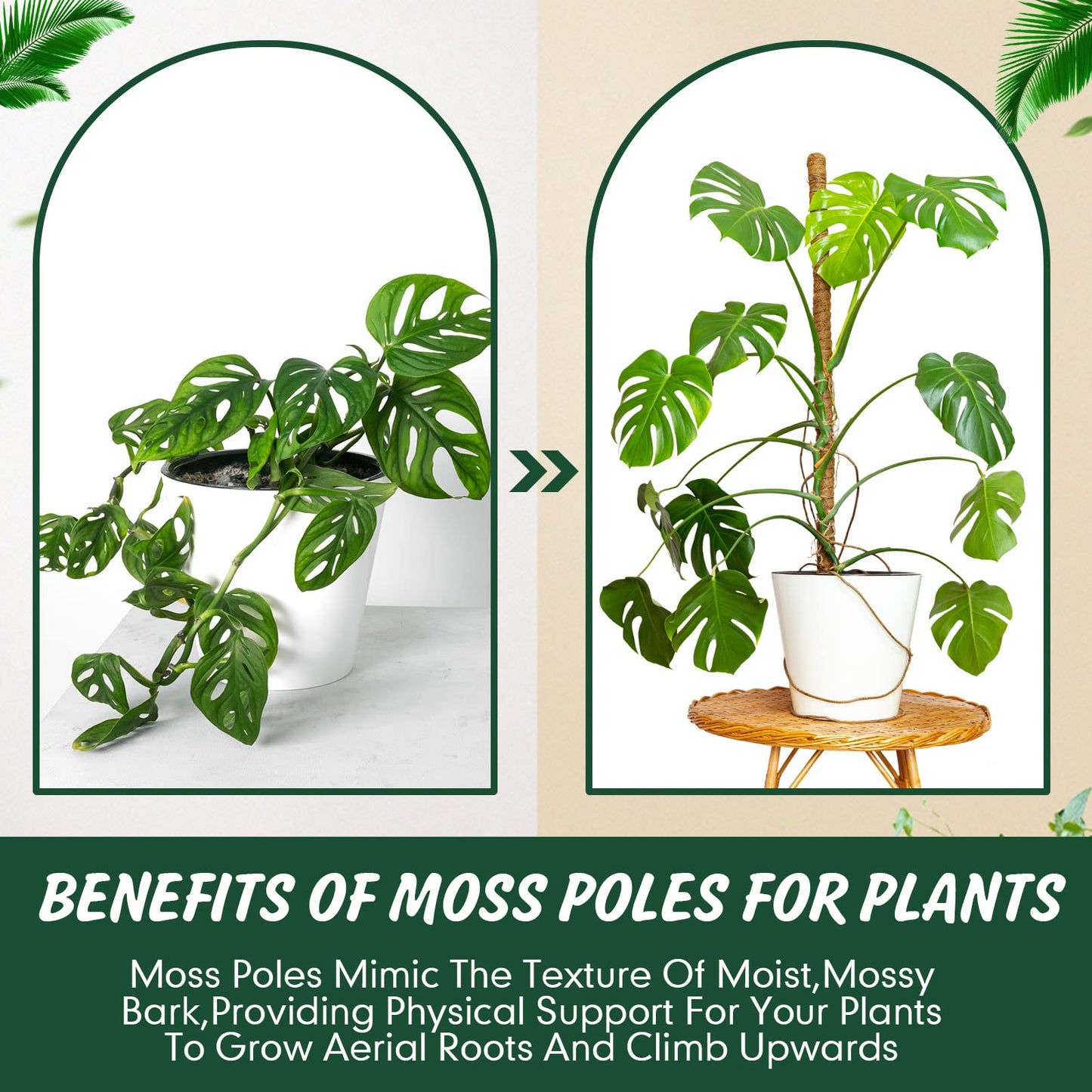 30 Pcs Moss Pole for Plants Monstera 16.5 Inch Coir Poles Bendable Monstera Plant Support with 10 Pcs 6.56 Feet Jute Rope and 6.56 Feet Green Plant Tape for Indoor Outdoor Climbing Plants Growth