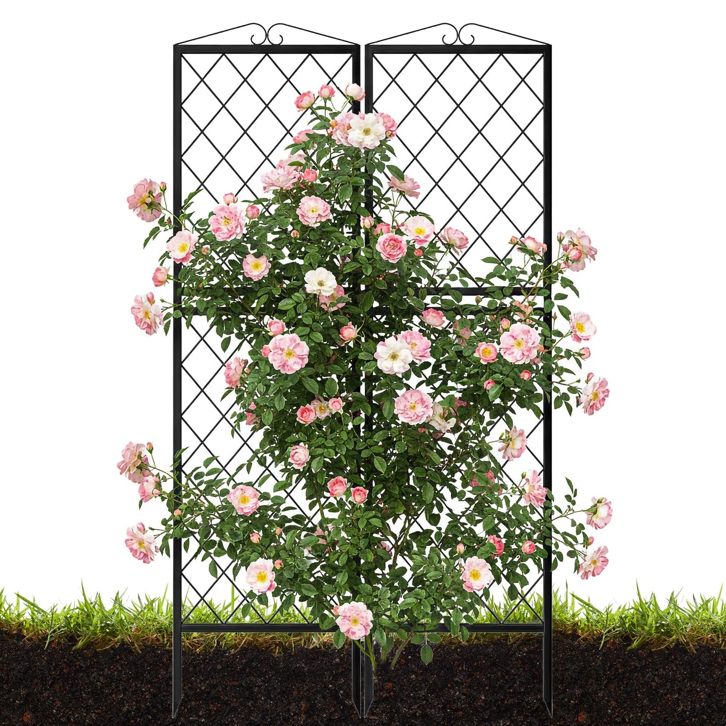 2 Pack 71 Inch Metal Garden Trellis for Climbing Plants, Thickened Square Tube Metal Garden Trellis for Vines Plant Rose Vegetable Support,Large Decorative Outdoor Trellis