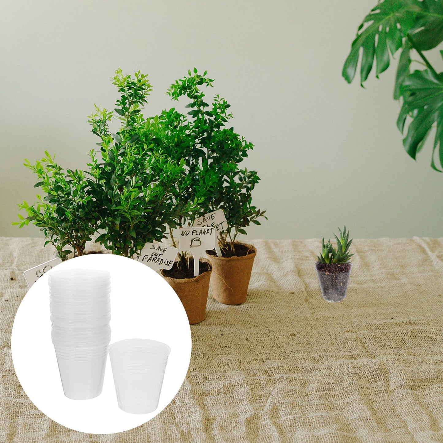 KALLORY 50pcs Plastic Nursery Pots for Plants 2.5 Inch Breathable Seedling Planting Pots with Drainage Suitable for Orchids Succulents and Indoor Gardening