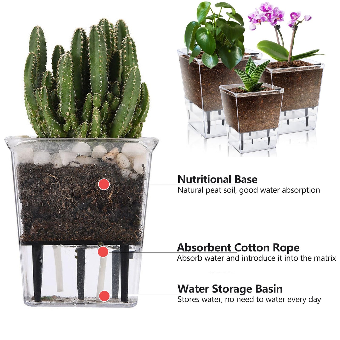 IWNTWY Self Watering Pots Set, 3 Pack 2.7 Inch Pots for Indoor Plants, Clear Nursery Planter with Deep Reservoir for Succulents, Seedlings, Small Plants