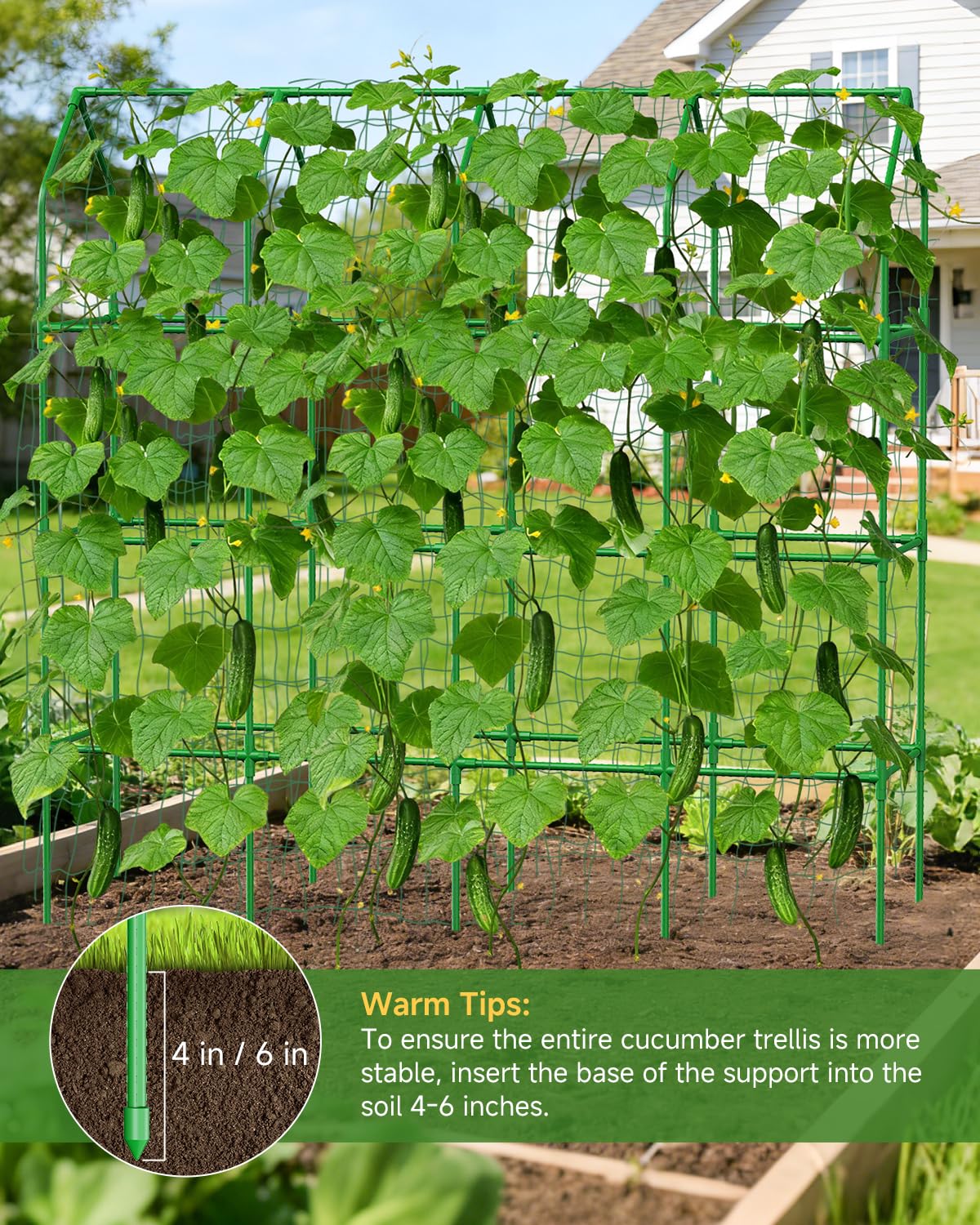 Cucumber Trellis with Grow Bag for Raised Bed, Garden Trellis for Climbing Plants Outdoor ((67 * 17 * 65inch(L*W*H), Trellis)