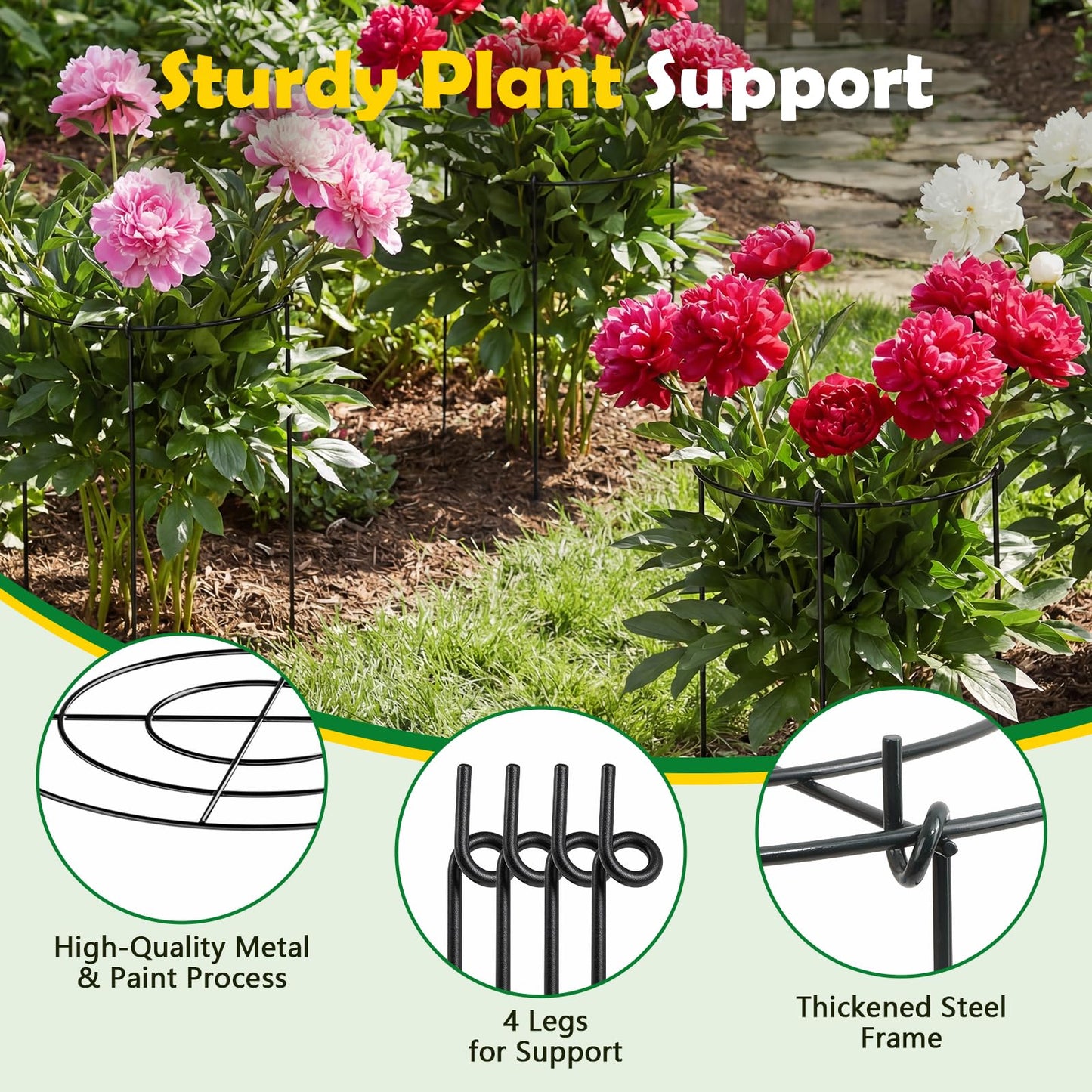 YHLYUZZ Peony Cages and Supports 8 Pack, 12x16 Inch Heavy Duty Metal Plant Cage for Outdoor Plants – Grow Through Flower Support Rings for Peonies, Roses, Tomatoes & Hydrangeas