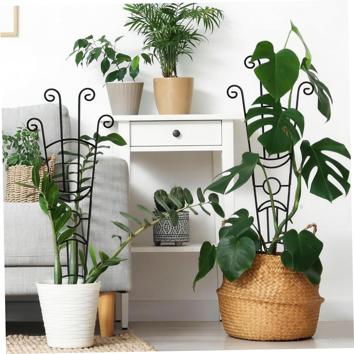 Trellis for Climbing Plants Indoor, 2 Pack Black Metal Trellis for Potted Plants, Adjustable Indoor Plant Support Monstera, Pothos, Ivy (32.7 Inch Tall)