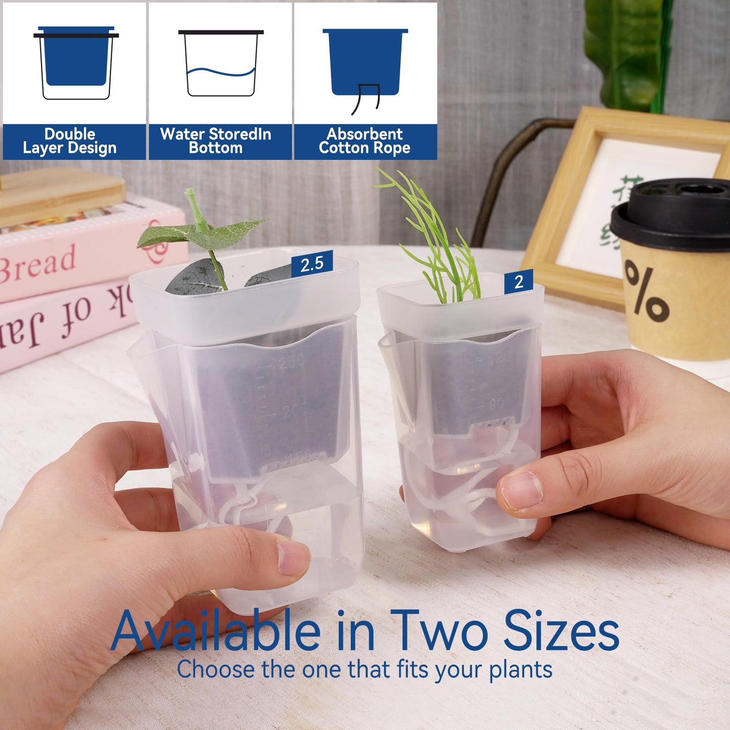 sunanday 16 Pack 2" Mini Self Watering Pots for Indoor Plants, Small Clear Deep Square Plastic Planters,Self Watering Planters Garden Flower Pots for fluval Stratum,alocasia Live Plant