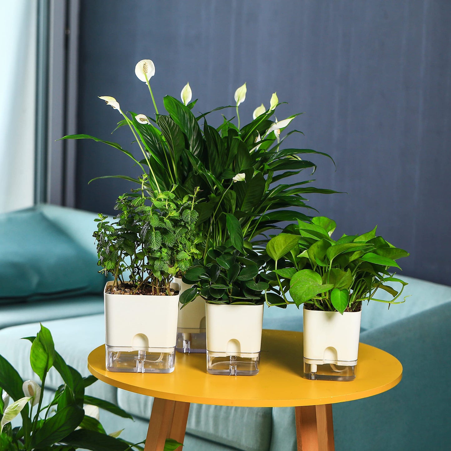 Planterhoma Self Watering Plant Pots for Indoor Plants 7 inch, 4 Packs Rectangle Self-Watering Planters with Drainage Hole, White African Violet Pots for Devil's Ivy, Spider Plant, Orchid, Herb