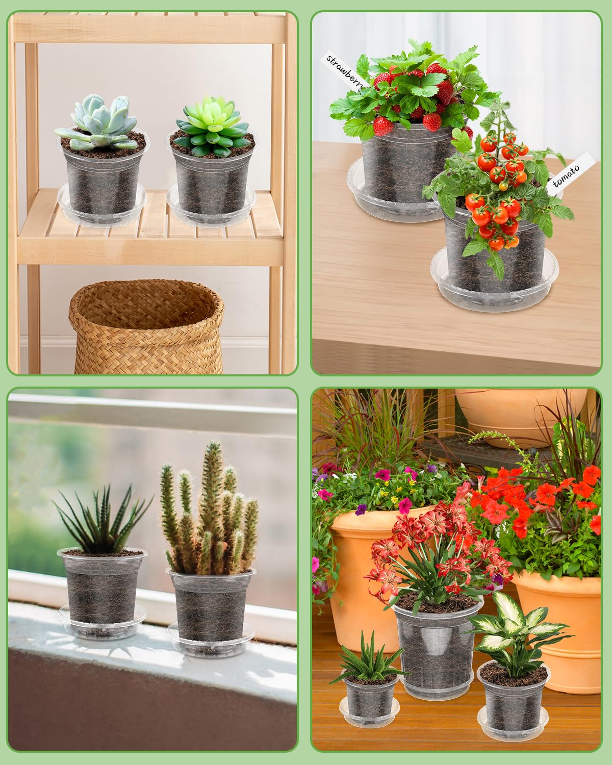 PACETAP 20Pack 6.5/5/4 Inch Reinforced Clear Nursery Pots with 20Pack Sacuers, Thickened Plastic Plant Pots with Drainage Holes, Transparent Plants Seed Starter Pot for Indoor Outdoor Garden
