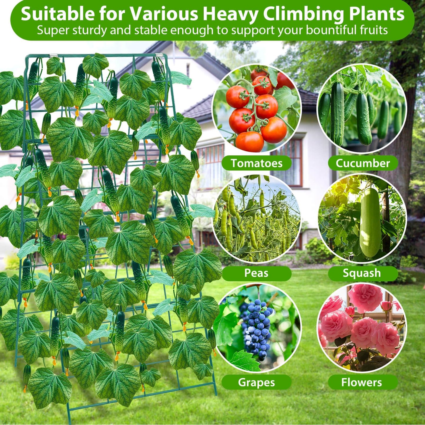 ROADPLUM Cucumber Trellis for Raised Garden Bed, Outdoor Sturdy Metal A-Frame Cucumber Trellis Support for Climbing Plants Vegetables and Fruits with Accessories, Easy installation and Easy Harvesting