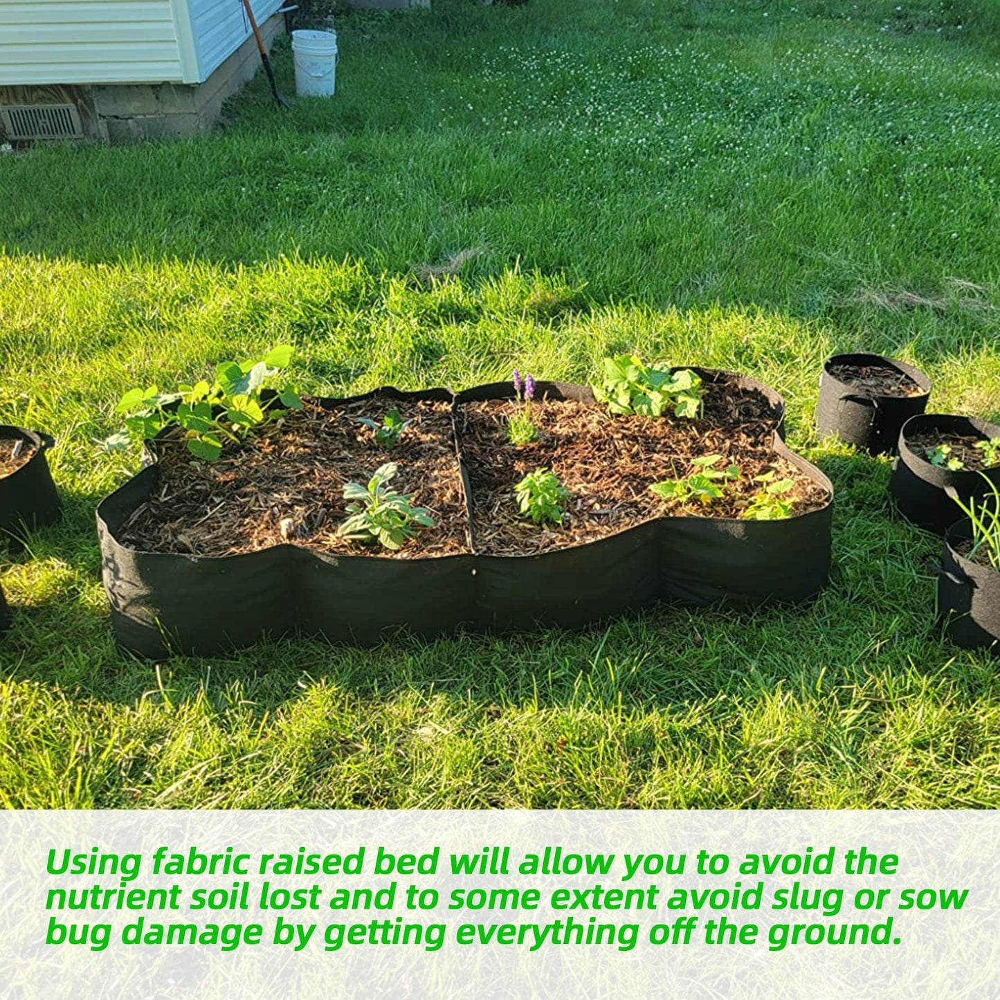 CJGQ Fabric Raised Garden Bed, 2Pack 8 Grids Plant Grow Bags, 3x6FT Breathable Planter Raised Beds for Growing Vegetables Potatoes Flowers, Rectangle Planting Container for Outdoor Gardening