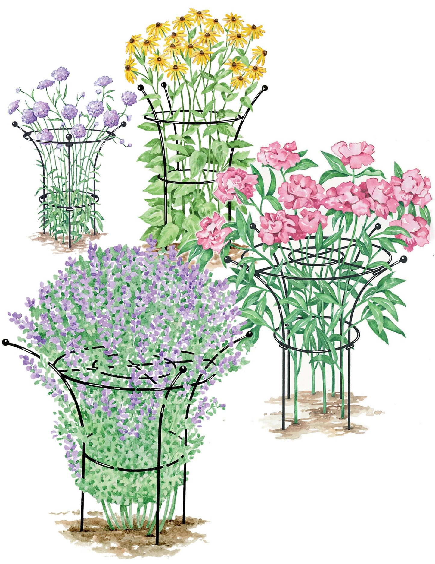 Gardener's Supply Company Essex Plant Support | Sturdy Metal Frame for Peonies & Roses | Flower Garden Cage with Wide Top Rings Natural Bouquet Shape | 31.5" H X18 D