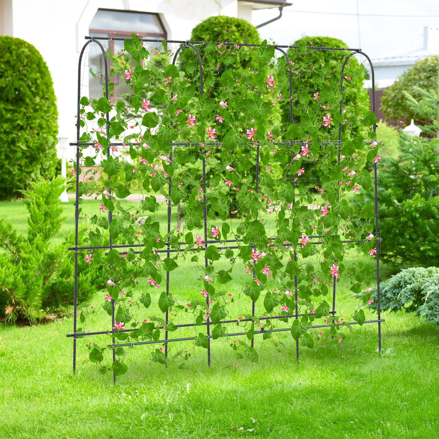 CHEFJOY 71” x 71” Trellis for Climbing Plants Outdoor, U-Shaped Metal Garden Arched Trellis with Netting, Sure-Clips & Ground Stakes, Cucumber Trellis for Vegetable Fruit Flower Vine