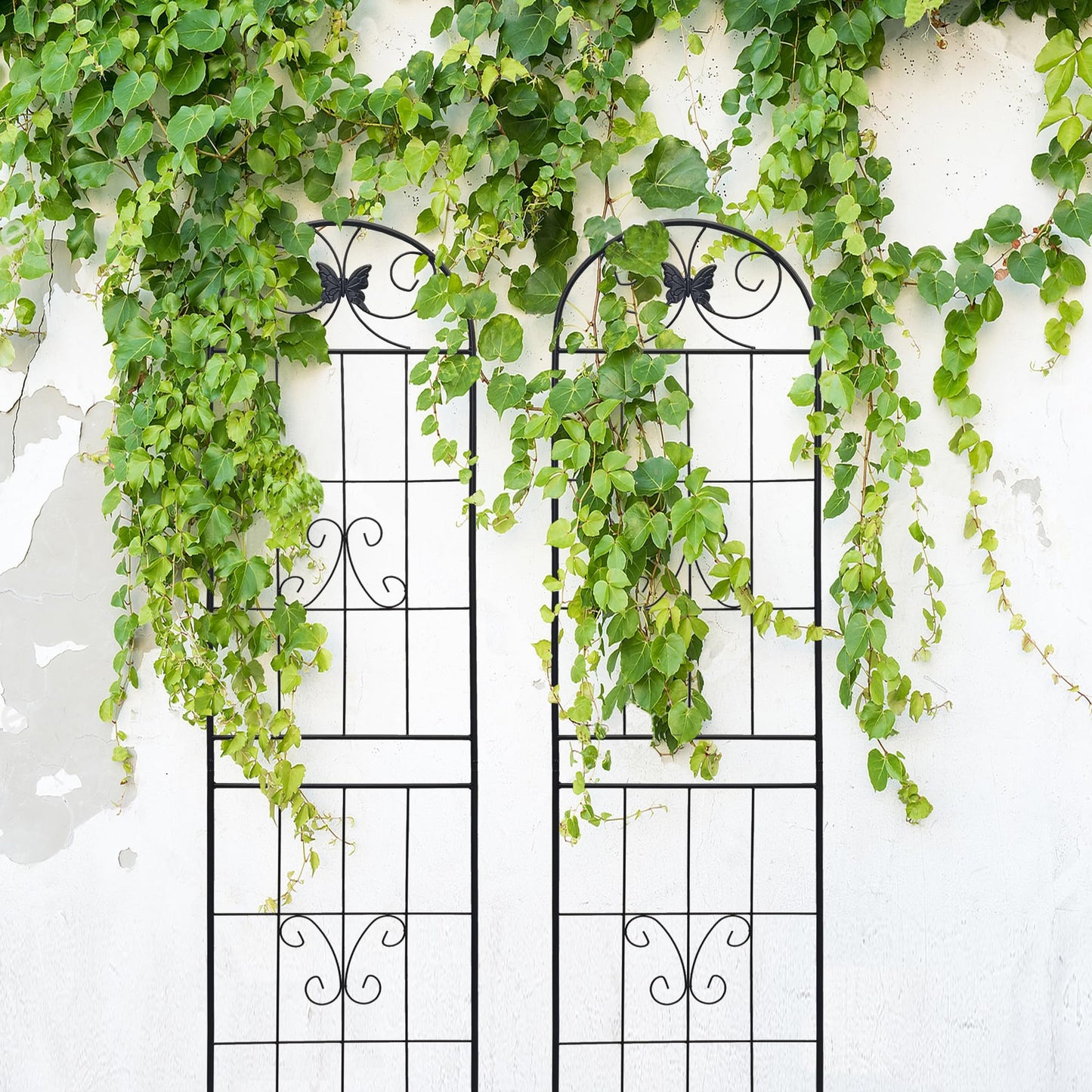 2 Pack Garden Trellis for Climbing Plants 86.7'' x 19.7''，Black Metal Garden Trellis，Heavy Duty Rustproof Plant Trellis for Rose Vine Vegetable