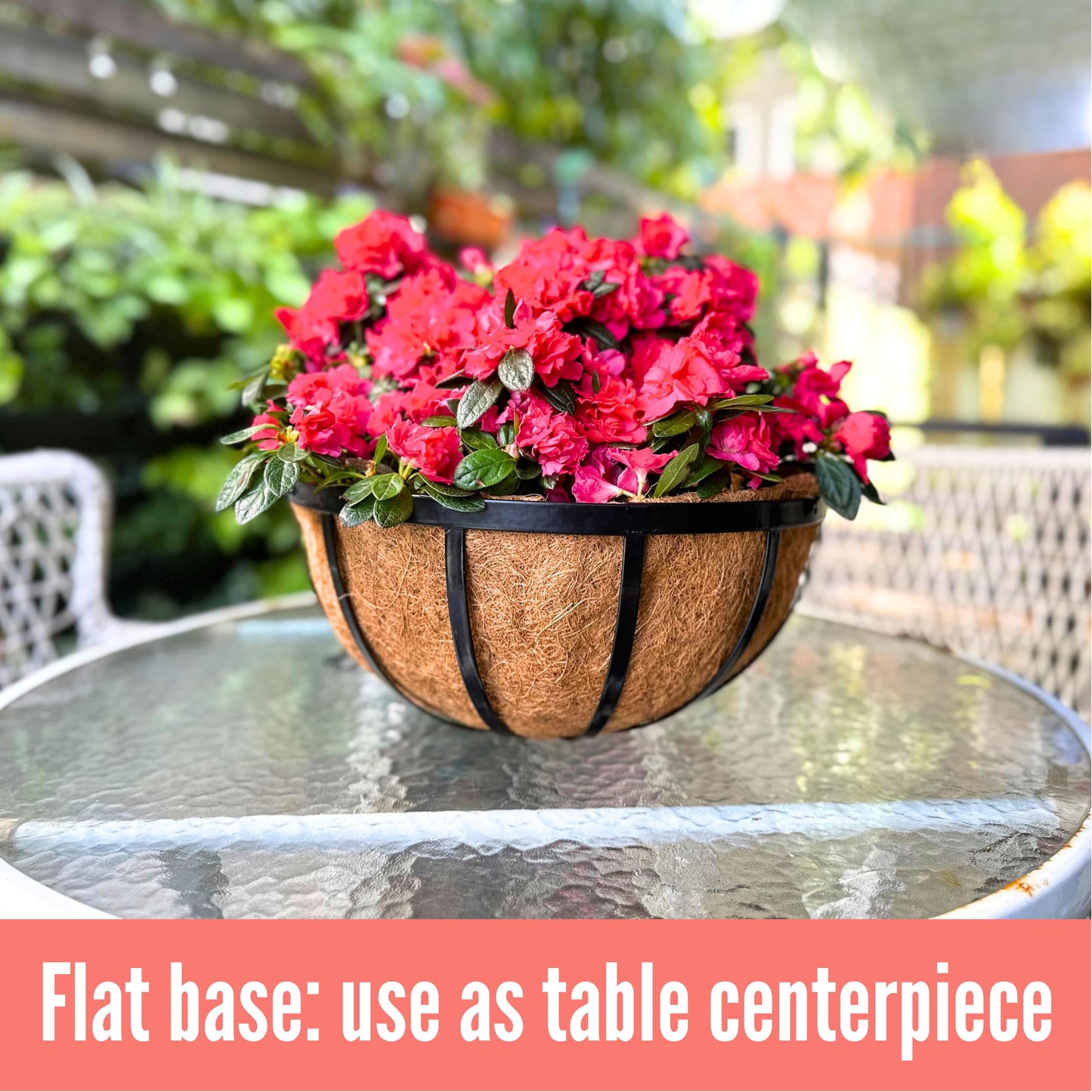 LaLaGreen Outdoor Hanging Baskets for Plants (20 Inch, 2 Pack) Extra Large Black Metal Flat Iron Hanging Planters with Coco Liner Round Flower Pot Holder Hanger Deck Porch Modern Garden Balcony Decor