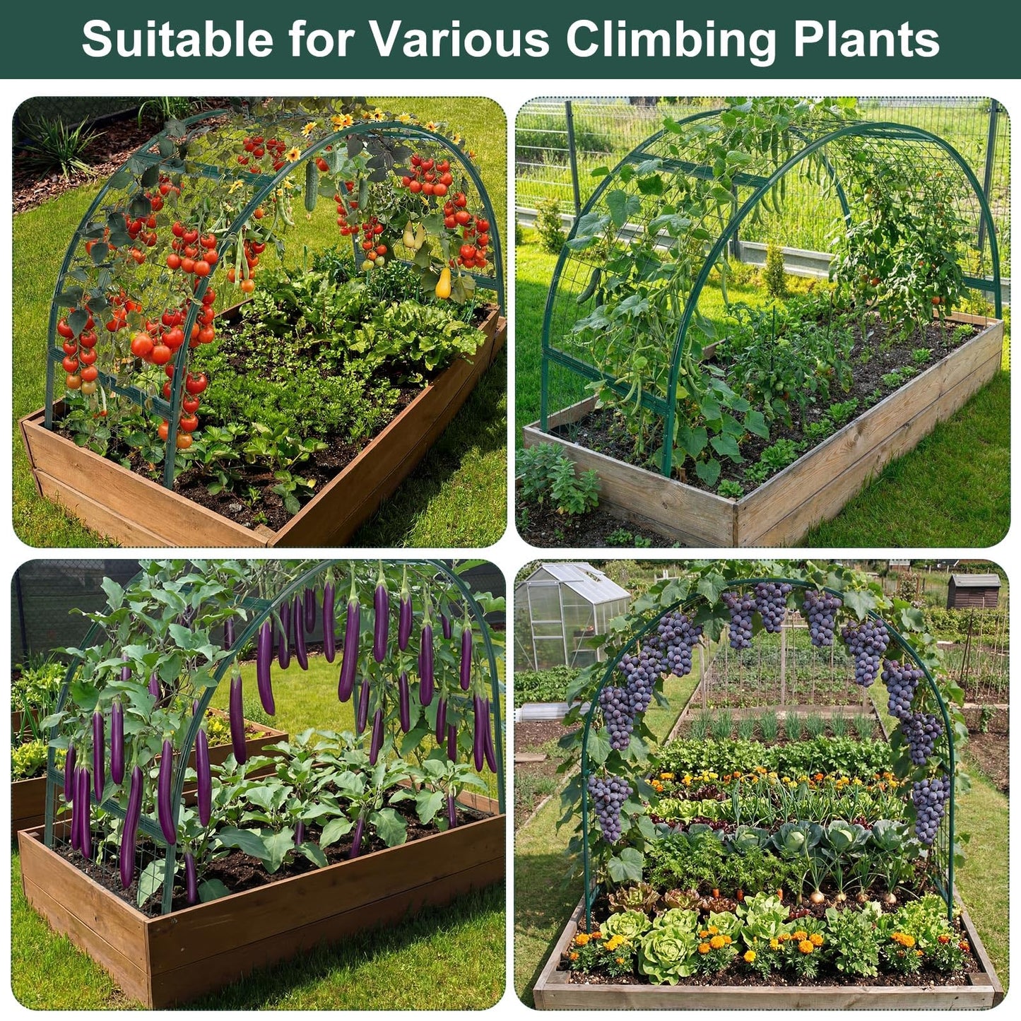 Newtay Arch Trellis for Planter Box Garden Wide Arbor Trellis Metal Arbor for Climbing Plants, Vegetables and Flowers Decorative Outdoor(Green,6 x 2 x 6 ft)
