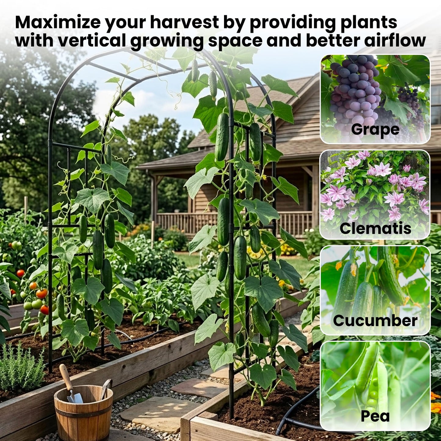 popsea Extra Heavy Duty Garden Arch - 1" Thick Steel Frame (Reinforced) | High Weight-Bearing Metal Arbor for Climbing Plants, Tomatoes & Heavy Vines, 59.1" L x 94.8" H
