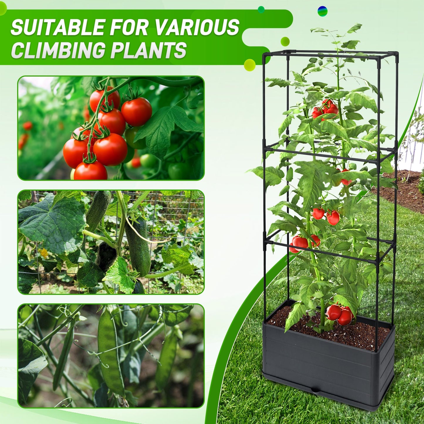 2 Packs Raised Garden Bed Tomato Planter Box with Trellis, 43.4" Self-Watering Tomato Cage with Rectangular Trellis for Climbing Plants, Flowers, Vegetables, Vine in Patio Garden Indoor Outdoor