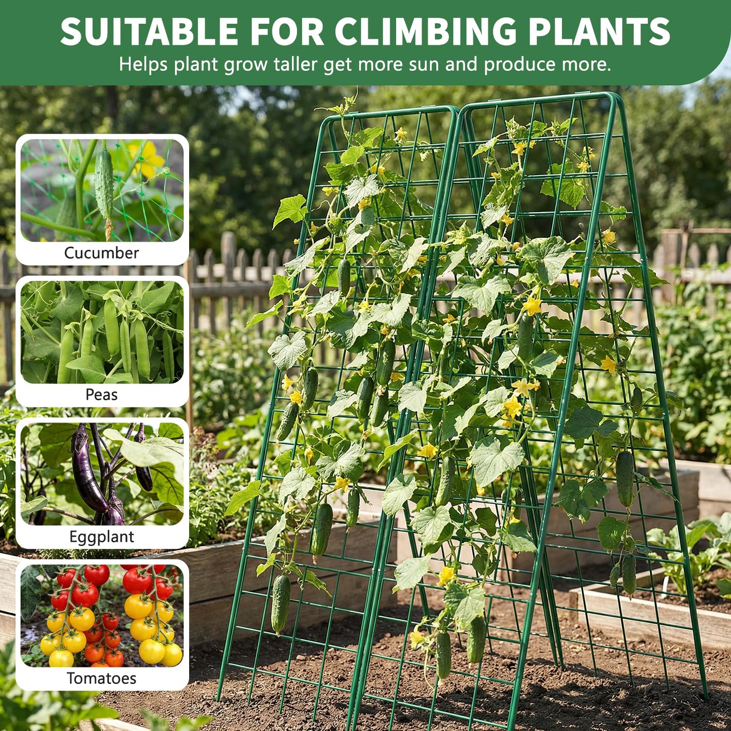 UrGROWA 2 Pack Cucumber Trellis, 59" High Foldable A-Frame Garden Trellis for Raised Bed Garden Grow Support with Plant Support Clips Ties for Cucumber,Tomato, Climbing Plants and Flowers