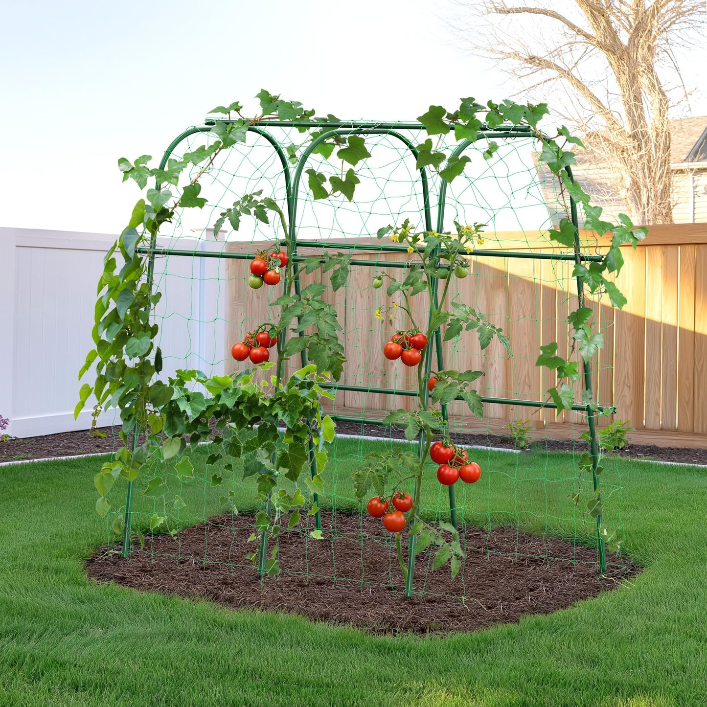 HIRALIY Cucumber Trellis for Climbing Plants Outdoor, 4ft Tall Heavy Duty Metal Garden Arch Trellis, Rustproof Plant Support Tunnel for Tomato, Grape, Bean, Raised Bed and Vegetable Gardens, Green