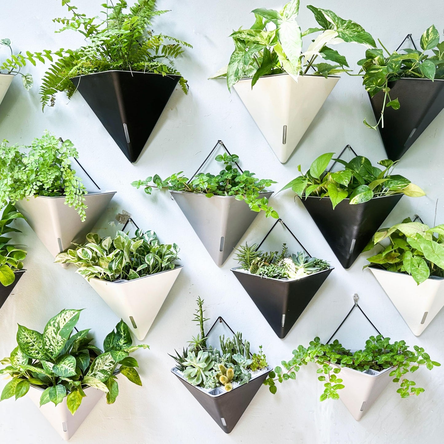 LaLaGreen Wall Planters for Indoor Plants - 4 Pack, 12 Inch Large Self Watering White Geometric Hanging Flower Vase Vessel with Metal Hanger, Modern Stylish Wall Mounted Succulent Pot Holder Decor