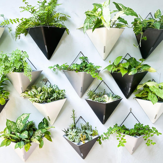 LaLaGreen Wall Planters for Indoor Plants - 4 Pack, 12 Inch Large Self Watering White Geometric Hanging Flower Vase Vessel with Metal Hanger, Modern Stylish Wall Mounted Succulent Pot Holder Decor