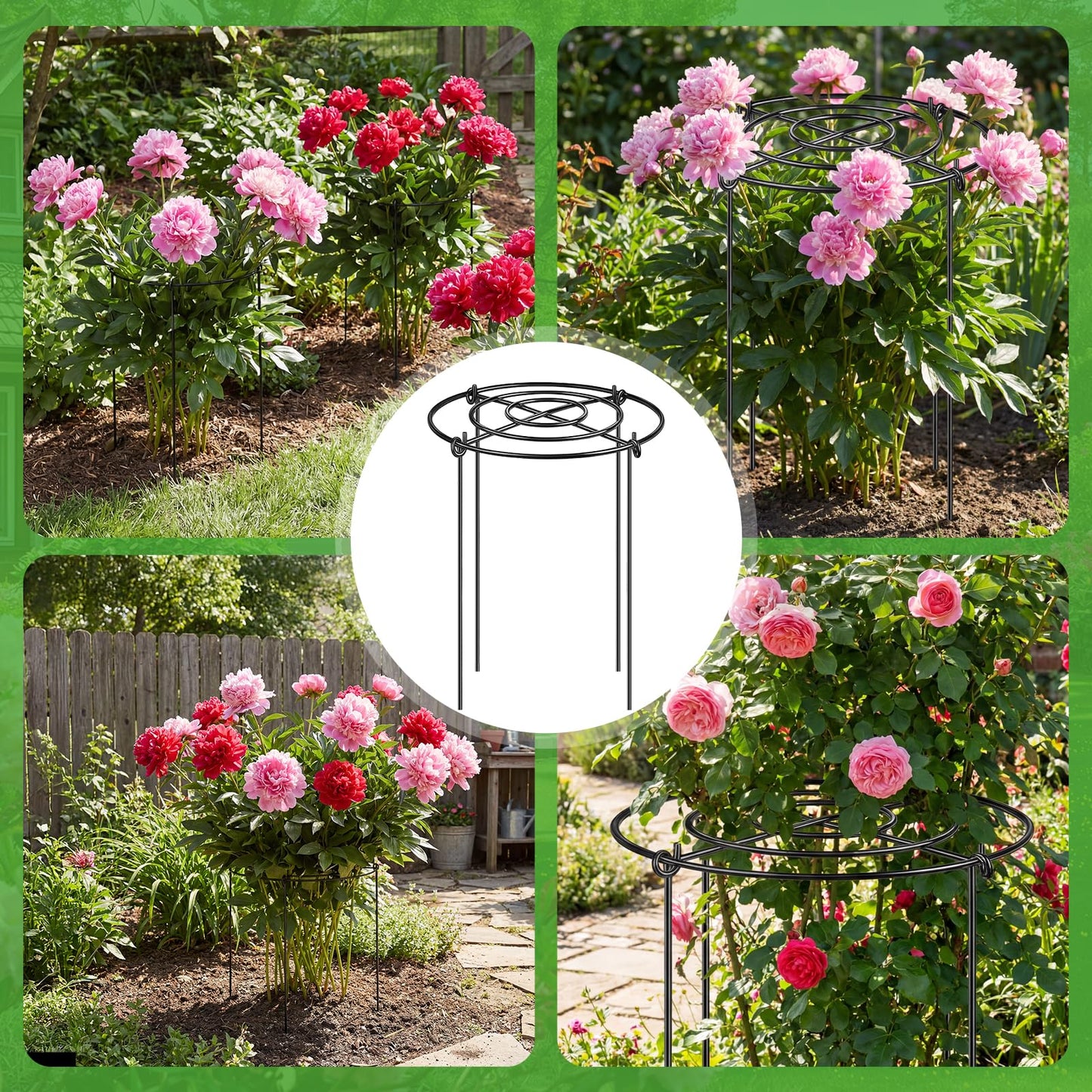 YHLYUZZ Peony Cages and Supports 8 Pack, 12x16 Inch Heavy Duty Metal Plant Cage for Outdoor Plants – Grow Through Flower Support Rings for Peonies, Roses, Tomatoes & Hydrangeas