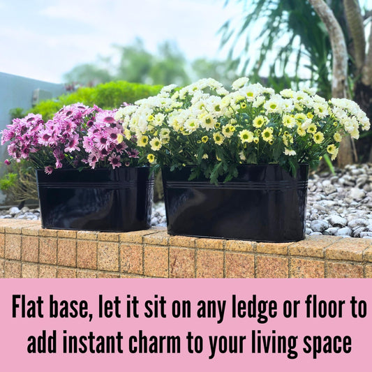 LaLaGreen Outdoor Plants Rail Planter (16 Inch, 6 Pack) Black Metal Iron Hanging Flower Pots Deck Railings Fence Buckets Modern Boho Style Wall Mount Window Boxes Plant Holder Hooks Porch Home Decor