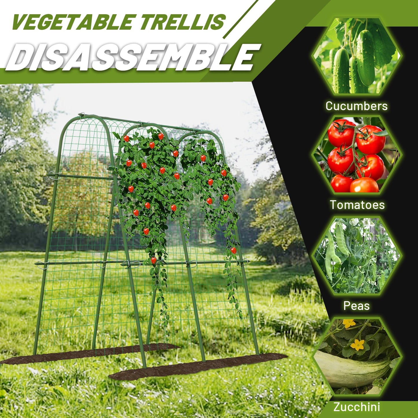 Carotex Extra Tall Metal Arch Trellis, 71X71 inch U-Shape Garden Trellis with Netting, Rust-Resistant PE Coated Steel Cucumber Trellis for Raised Bed, Vegetables, Fruits, Beans, Green