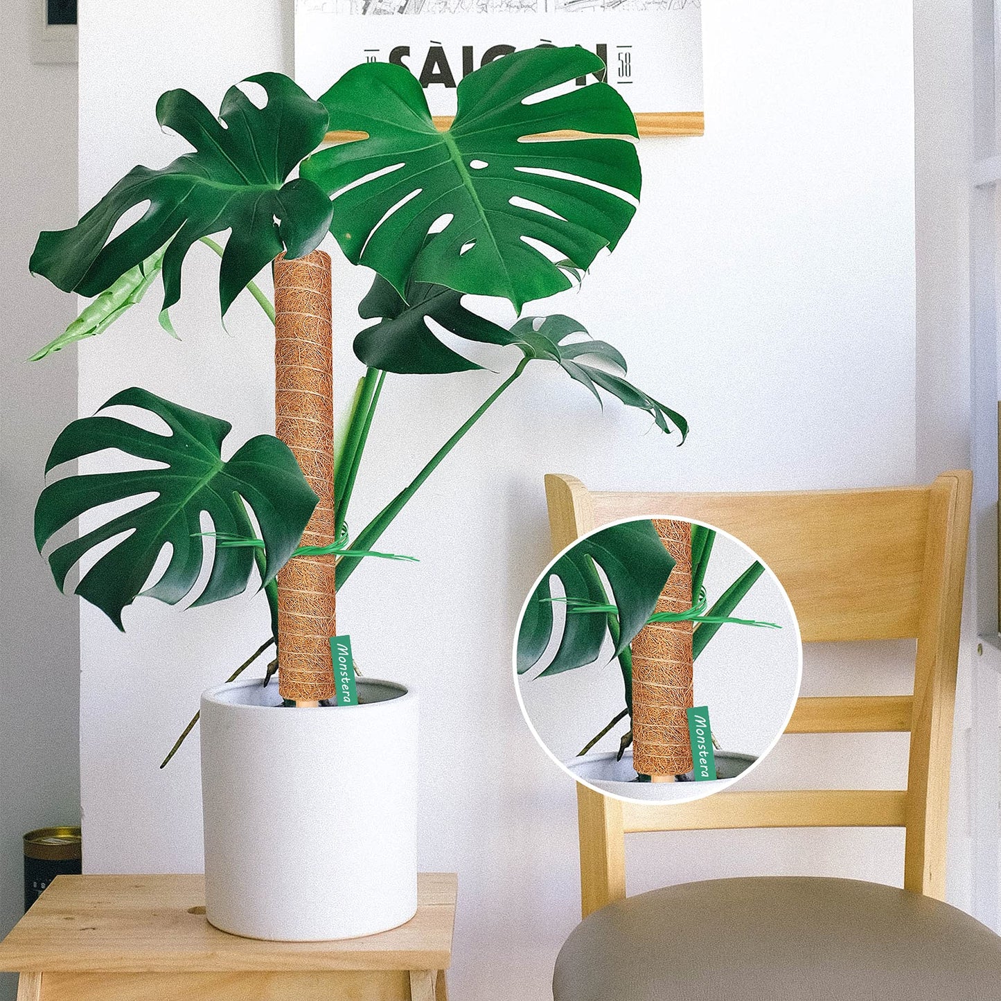 Moss Pole, Augshy Total Length 43 Inch Moss Poles - 2Pcs 24 Inch Plants Support Stakes Pole for Indoor Plants Coir Totem Pole for Creeper Monstera Plant Climbing