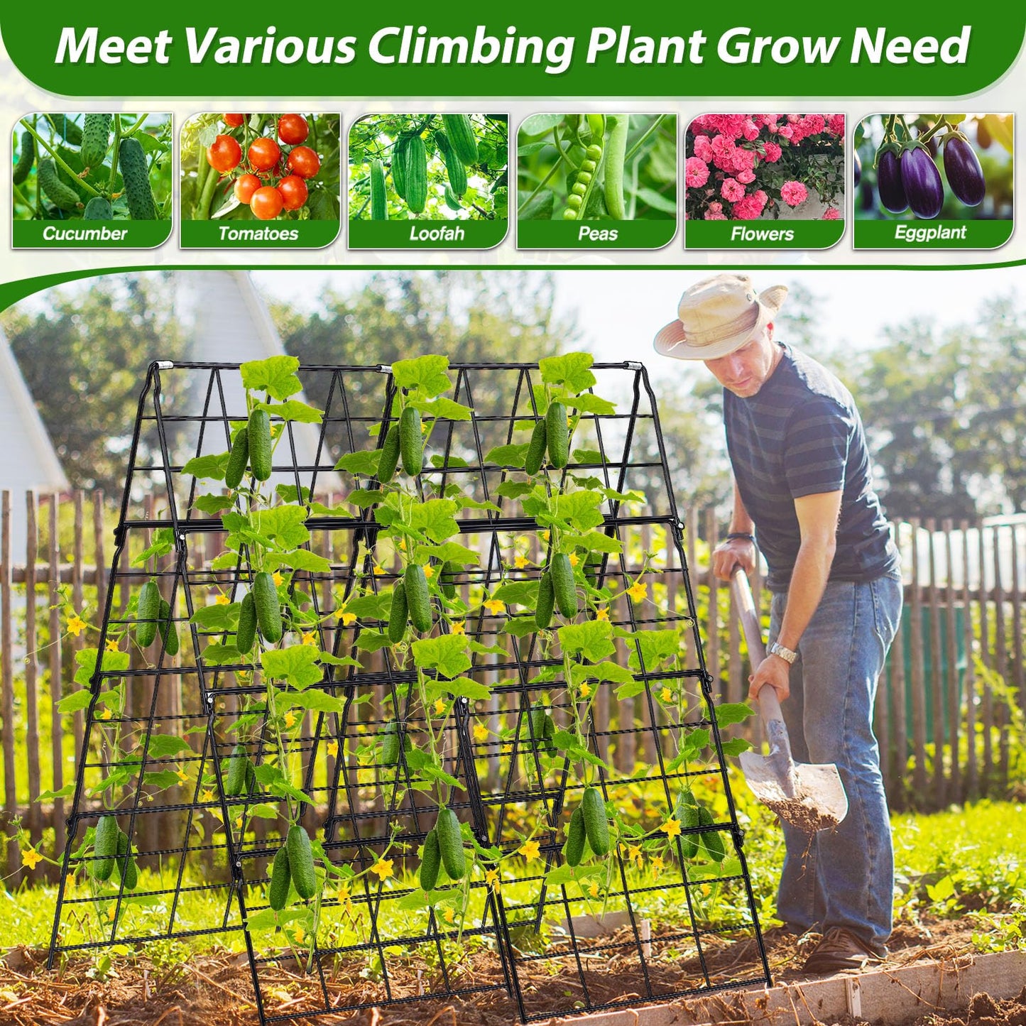 2 Packs Cucumber Trellis for Raised Bed 42 x 16 A Frame Metal Adjustable Garden Trellis for Climbing Plants Outdoor, Foldable Coated Steel Easy Install Cucumber Trellis for Vegetable Fruit Flower
