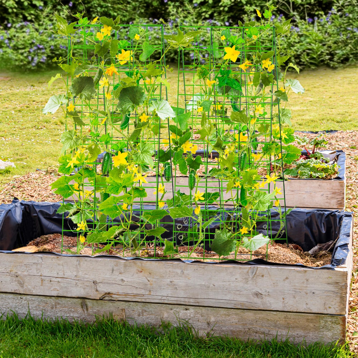 warmfarm Pack 2 Heavy Metal Garden Trellis for Climbing Plants with Trellis Netting & Garden Clips, A-Frame Cucumber Trellis for Raised Bed