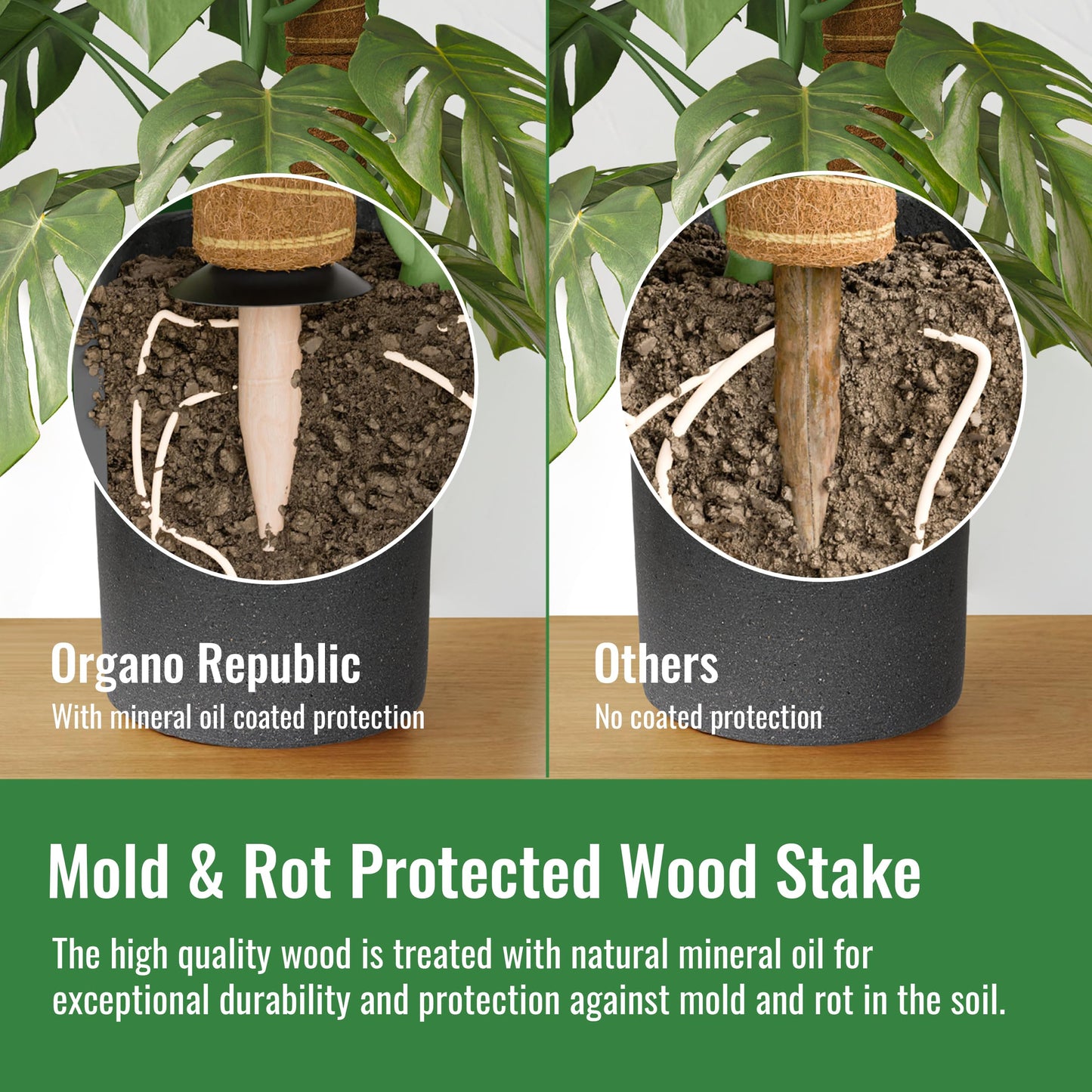 Organo Republic Moss Pole Monstera Plant Support Stakes - 2x26.4 or 48.7" Unique Self-Watering, Extendable Coco Coir Pole for Climbing Plant Supports for Potted Plants Indoor, Totem Pole for Pothos