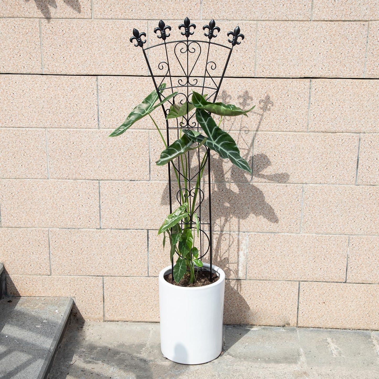 GOOOXIM Indoor Climbing Plant Trellis 46x15.5in Heavy Duty Durable Iron Decorative Support for Monstera, Pothos, and Houseplants Ideal for Vertical Growth in Garden, Balcony, and Indoor Spaces