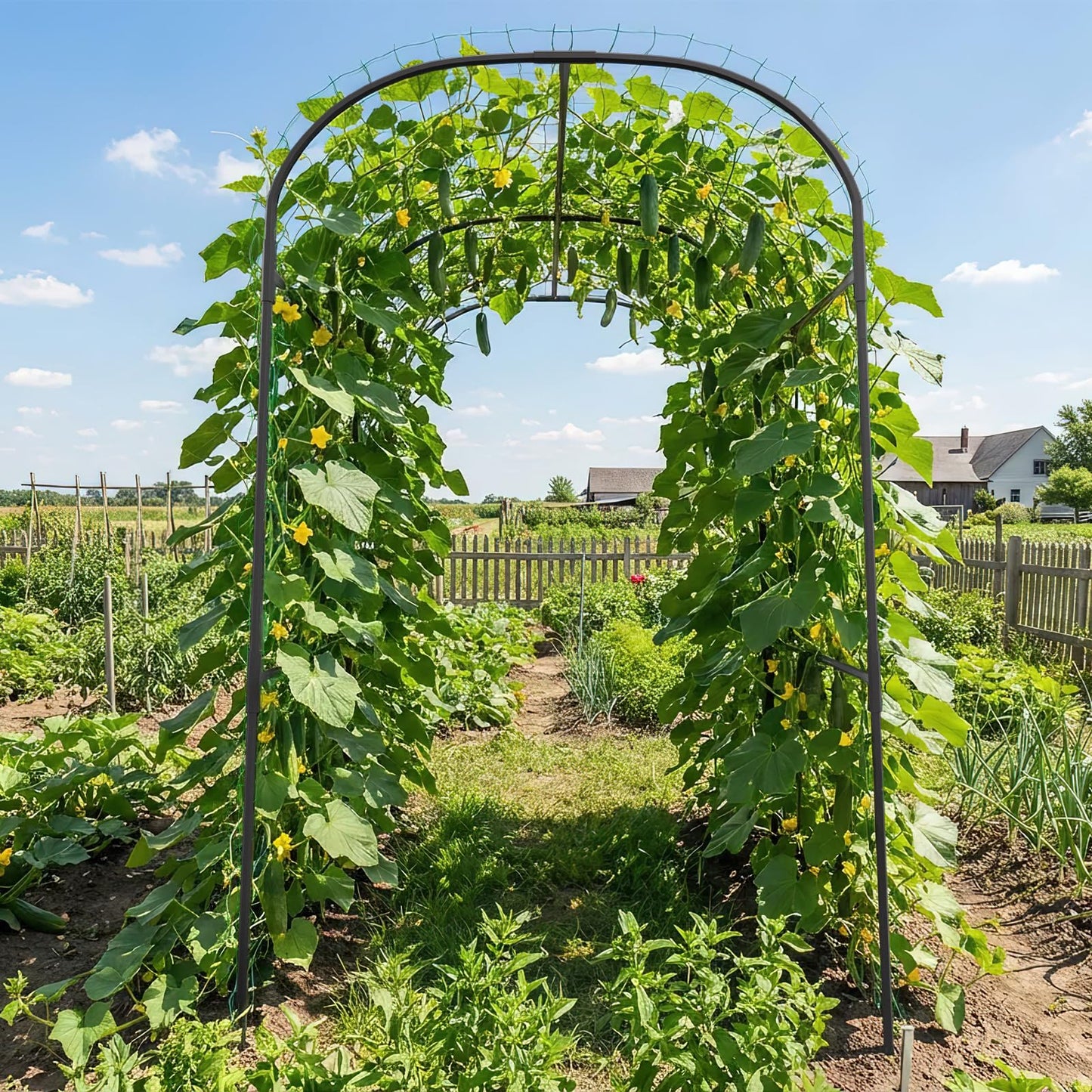 SUNYRISY Garden Arch Trellis for Climbing Plants Outdoor, 83in Tall Plant Support Arbor Trellis for Yard Garden Raised Bed Planting Vine Cucumber Flowers Fruit Vegetables