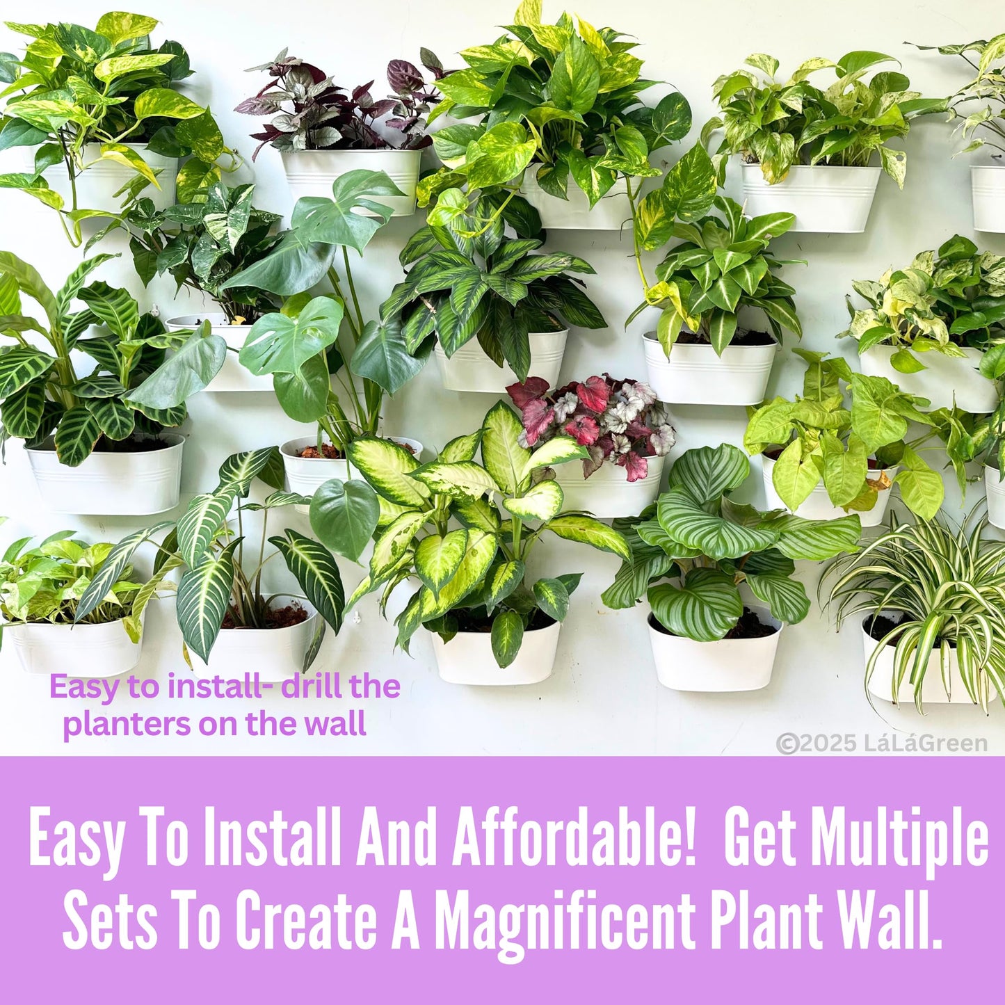 LaLaGreen Wall Planter (9.8 Inch, 6 Pack) White Oval Metal Pot Hanging Decor Flower Railing Fence Pots Mounted Indoor Plant Holder Porch Decorations Drainage Garden Plants Planters Balcony Home Yard